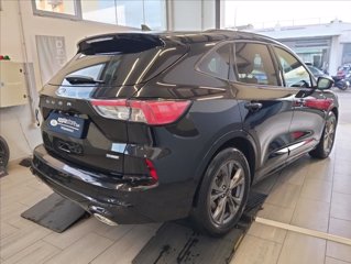 FORD Kuga 2.5 full hybrid ST-Line 2wd 190cv cvt