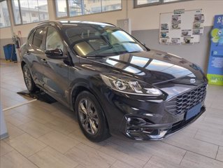 FORD Kuga 2.5 full hybrid ST-Line 2wd 190cv cvt