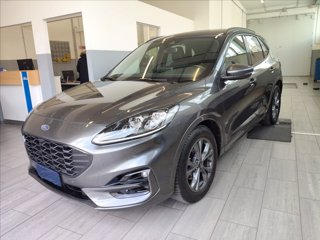 FORD Kuga 2.0 ecoblue ST-Line X 2wd 120cv auto