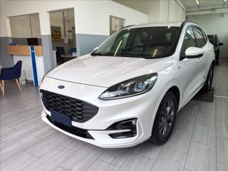 FORD Kuga 2.5 full hybrid ST-Line 2wd 190cv cvt